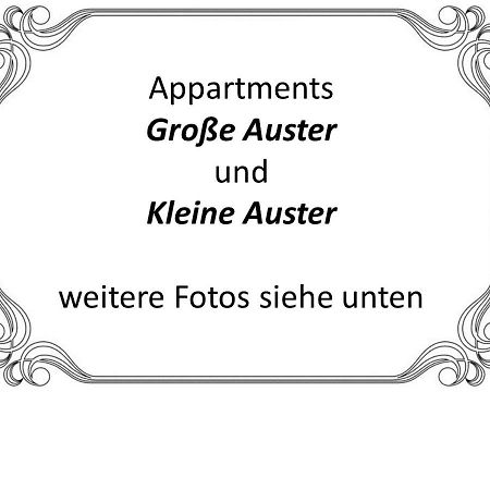 Auster-Appartements Саарбрюккен Экстерьер фото