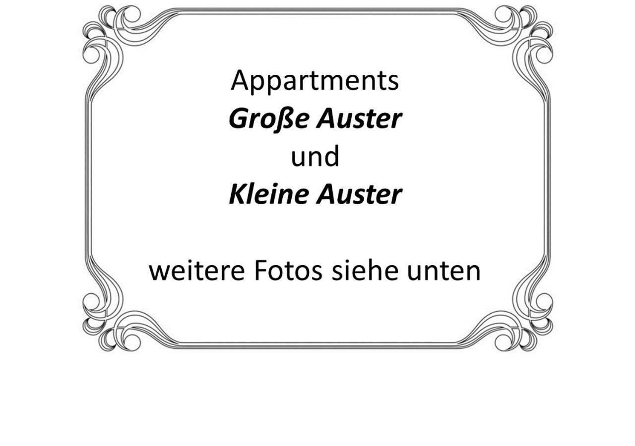 Auster-Appartements Саарбрюккен Экстерьер фото